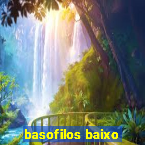 basofilos baixo